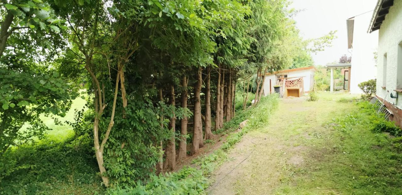 Gemuetliches Ferienhaus "An Der Schilde" In Renzow Exterior photo
